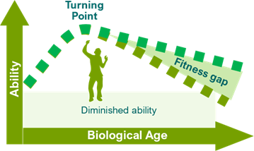 Turning point graph showing how ability increase against biological age to a point and then drops creating two lines  - between these is the fitness gap.
