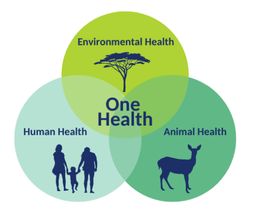 Image representing one health - impact of environment, animals and human on each others health